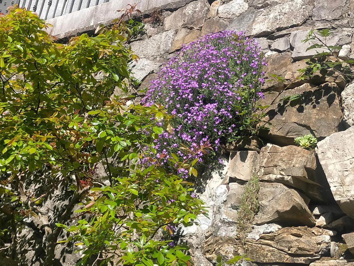 Vila Torre Del Grifone Nel Medioevo Di Cividale Del Friuli Faedis Exteriér fotografie