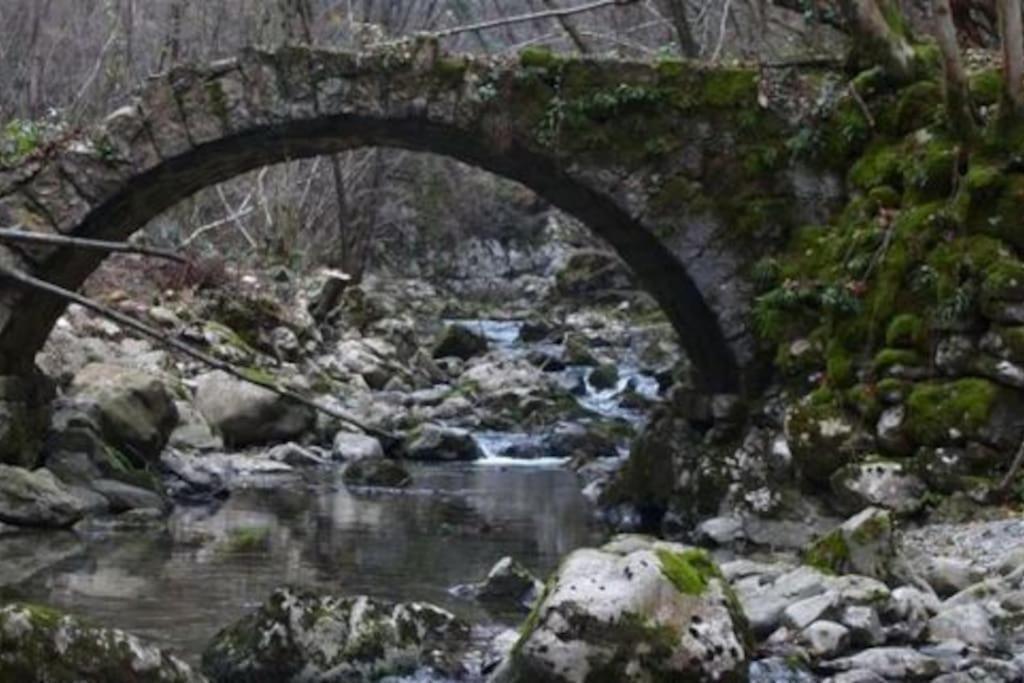 Vila Torre Del Grifone Nel Medioevo Di Cividale Del Friuli Faedis Exteriér fotografie